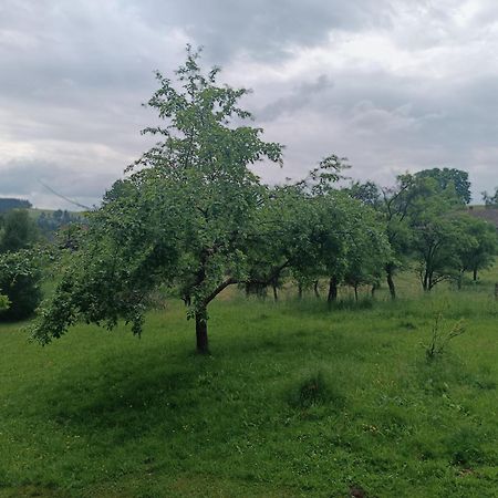 Chalupa U Kuby Vysoké nad Jizerou Dış mekan fotoğraf
