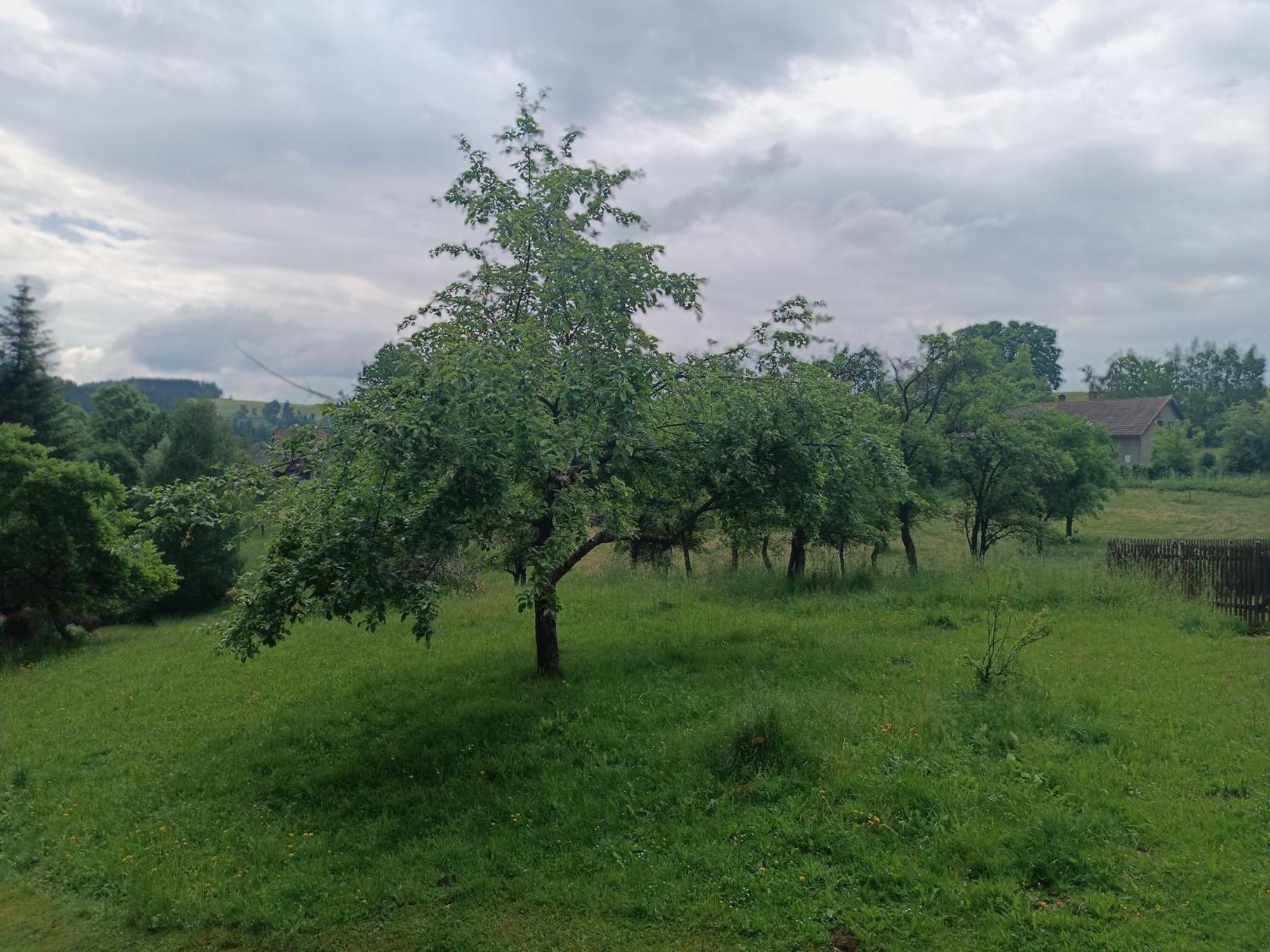 Chalupa U Kuby Vysoké nad Jizerou Dış mekan fotoğraf